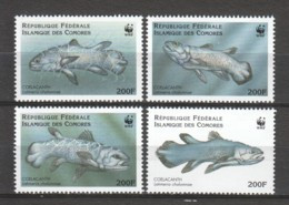 Comores 1998 Mi 1261-1264 MNH WWF - FISHES - Ongebruikt