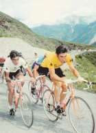 Eddy MERCKX Et Luis OCANA  Tour De France 1972  ( Format 17 X 12 ) - Cycling