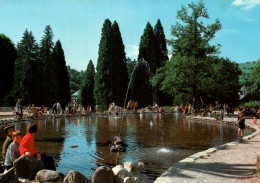 CPM - La BOURBOULE - Bassin Du Parc Fenestre - Edition André - La Bourboule