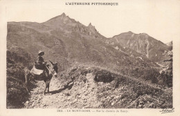 FRANCE - Le Mont Dore - Sur Le Chemin Du Sancy - Carte Postale Ancienne - Le Mont Dore