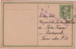 * AUSTRIA (EMPIRE) > 1900 POSTAL HISTORY > Censored 5h Stationary Card From Mahr Ostrau To Budapest, Hungary - Lettres & Documents