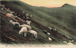 FRANCE - Le Mont Dore - Un Troupeau De Moutons Au Sancy - Carte Postale Ancienne - Le Mont Dore