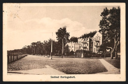 AK Heringsdorf / Seebad, Seebad Mit Hotel-Pension Villa Elvira  - Otros & Sin Clasificación