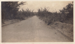 Photo Afrique Congo Route Forêt De Bambous Mont Maie Ituri - Africa