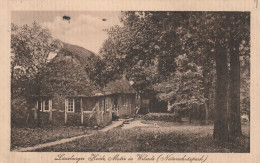 Wilsede  Gel.1915  Heidehaus - Andere & Zonder Classificatie