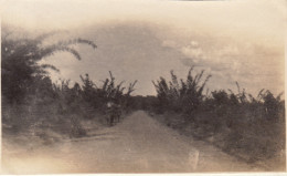 Photo Afrique Congo Route Forêt De Bambous Mont Maie Ituri - Afrique