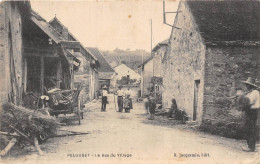 25-PELOUSEY- LE BAS DU VILLAGE - Sonstige & Ohne Zuordnung