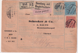 * AUSTRIA (EMPIRE) > 1917 POSTAL HISTORY > 10h Notification Card W/ Mixed Franking From Wien To Konstantinopel, Turkey - Brieven En Documenten