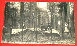 TERVUREN - TERVUEREN  - 2 CARTES :  Les Dolmens  -  Pierres Druidiques Dans Le Parc - Tervuren