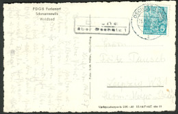 BUCHA über OSCHATZ 1957 LANDPOSTSTEMPEL Blau Auf Ansichtskarte SCHMANNEWITZ FDGB Ferienort Waldbad > Leipzig - Cartas & Documentos