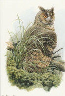 BUZIN. HIBOU MOYEN DUC - 1985-.. Vogels (Buzin)