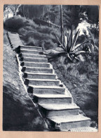 08617 / ⭐ ◉  TOULOUSE ? Escalier Monter C'est La Vie 1971 à ROQUEPLO Montauban-Photo SARRAUTE 219 CENTRALE ST JACQUES - Toulouse