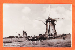 08941 / ⭐ KINDERDJIK ? Zuid-Holland MOOI Nederland Molens Bij Kinderdijk Nederland Holland Pays Bas VANEL - Kinderdijk