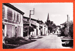 08704 / SAINT-NICOLAS-de-la-GRAVE (82) Avenue Du MONTET 1950s Photo-Bromure GABY ARTAUD 2 St Tarn-Garonne - Saint Nicolas De La Grave