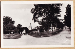 08688 / BEAUMONT-DE-LOMAGNE Tarn-Garonne Le Foirail Du Village 1950s Photo-Bromure NARBO 1 - Beaumont De Lomagne