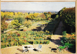 08562 / ⭐ ◉ 49-TURQUANT Parc Et Vue Sur LOIRE 1960s à Lucien CHAMPAGNE Chemin De Giraudon  Dit Des Postes Sarcelles - Autres & Non Classés