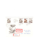 * CZECHOSLOVAKIA (R2) > 1989 POSTAL HISTORY > Registered Express Cover From Praha To Ceske Budejovice - Covers & Documents