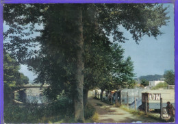 Carte Postale 19. Brive Le Camping Très Beau Plan - Brive La Gaillarde