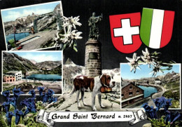 Suisse - Multi-vues - Vallée D'aoste  - Grans Sainr Bernard - Chiens - 8333 - Berna