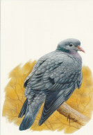 BUZIN. PIGEON COLOMBIN - 1985-.. Oiseaux (Buzin)