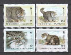 Tadjikistan 1996 Mi 94-97 MNH WWF - MANUL WILD CATS - Ongebruikt