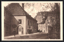 AK Baden Bei Wien, Frauengasse Mit Bauernbank, Frauenkirche Und Grillparzerhaus  - Autres & Non Classés