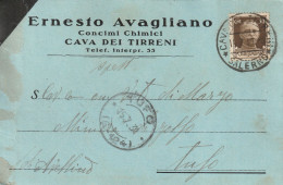 Italy. A218. Cava Dei Tirreni. 1931. Cartolina Postale PUBBLICITARIA ... ERNESTO AVAGLIANO CONCIMI CHIMICI ... - Marcophilie