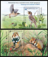 2021 Belarus 1407-1408+Tab Europa Cept - Fauna - Piciformes (pájaros Carpinteros)