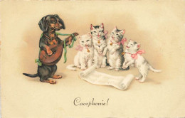 N°25166 - Fantaisie - M. Flatscher - Cacophonie - Teckel Jouant De La Mandoline - Chat - Autres & Non Classés