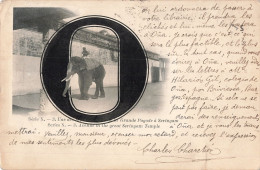 éléphant Lettre Alphabet O CPA Inde L' Une Des Sept Enceintes De La Pagode à Seringam Cachet 1914 - Elefanten