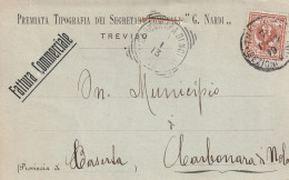 Italy. A218. Treviso . 1913. Annullo Tondo Riquadrato CARBONARA DI NOLA (CASERTA) Su Cartolina Postale PUBBLICITARIA - Poststempel