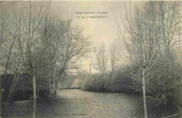 85 - Chantonnay - Le Lay à Pont Charron - CPA - Oblitération Ronde De 1909 - Voir Scans Recto-Verso - Chantonnay