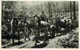 Animaux - Anes - Attelage De Mules En été - Animée - Editeur Evignes - CPA - Voir Scans Recto-Verso - Esel