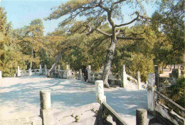 Chine - Ming Tombs - Former Site Of The Leng En Hall At Dingling - China - CPM - Carte Neuve - Voir Scans Recto-Verso - China