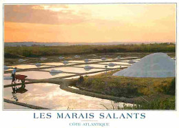 Metiers - Marais Salants - Saliculture - Saliculteurs - Sauniers - Paludiers - Paludier En Activité Dans Les Marais Sala - Andere & Zonder Classificatie