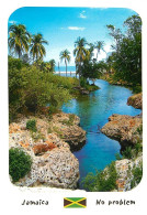 Format Spécial - 170 X 125 Mms - Jamaique - Jamaica - Alligator Pond - These Crystal Clear Cobalt Waters Coming From The - Giamaica