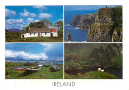Irlande - Multivues - Typical Irish Cottage - Ireland - CPM - Voir Scans Recto-Verso - Altri