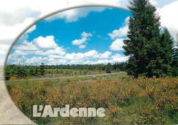 Belgique - L'Ardenne - Ardenne Pittoresque - Carte Neuve - CPM - Voir Scans Recto-Verso - Altri & Non Classificati