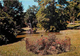 42 - Montbrison - Jardin D'Allard - Fleurs - CPM - Voir Scans Recto-Verso - Montbrison