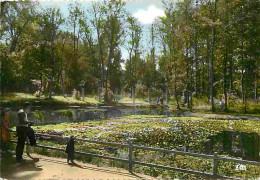 32 - Barbotan Les Thermes - Un Coin Du Parc - Le Lac - Carte Neuve - CPM - Voir Scans Recto-Verso - Barbotan