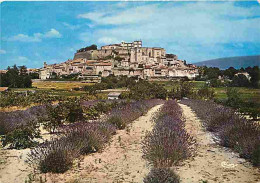 26 - Grignan - Vue Générale - Le Château - Carte Neuve - CPM - Voir Scans Recto-Verso - Grignan