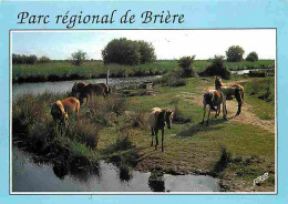 Animaux - Chevaux - Parc Régional De Brière - Chevaux En Liberté - CPM - Voir Scans Recto-Verso - Horses