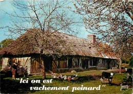 Animaux - Vaches - Normandie - Ferme Au Toit De Chaume - Veau - CPM - Voir Scans Recto-Verso - Kühe
