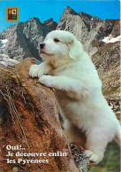 Animaux - Chiens - Chien Des Pyrénées - Chiots - Montagnes - CPM - Voir Scans Recto-Verso - Chiens