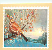 Animaux - Oiseaux - Art - Dessin - Peinture - Wintertime ( The Redwing ) - Reproduced From A Stamp Designed By John Gorh - Vogels