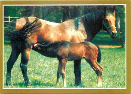 Animaux - Chevaux - Jument Et Son Poulain - La Passion Du Cheval - Photo Serge Farissier - Carte Neuve - Voir Scans Rect - Cavalli