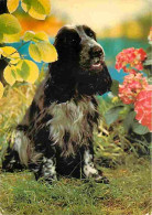 Animaux - Chiens - CPM - Voir Scans Recto-Verso - Chiens