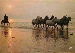 Animaux - Chevaux - Camargue - Crépuscule Au Bord De Ia Méditerranée - CPM - Voir Scans Recto-Verso - Caballos