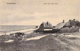 Ostseebad Ahrenshoop I.P. - Blick Vom Hohen Ufer - Pommern