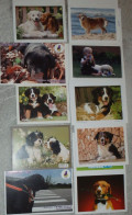 Petit Calendrier Poche Lot De 10 Petits Calendriers Chien Chiot 2009 à 2012 - Tamaño Pequeño : 2001-...